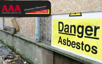 Understanding Health Risks Of Asbestos Exposure In Toledo, OH
