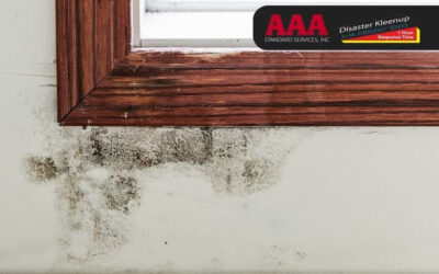 Importance of Regular Ventilation to Prevent Mold