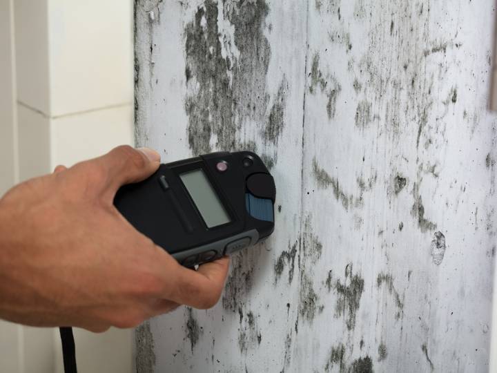 AAA Standard Services uses the latest technology to test for black mold in your home or business. If you need Mold inspections, call Toledo's mold experts