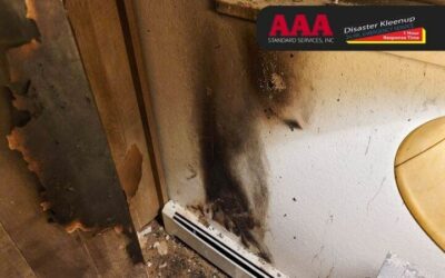 Professional Cleaning Processes for Fire Damaged Belongings